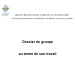 RAPPORT conference episcopale 2011